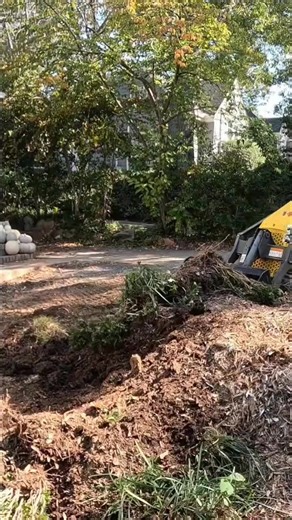Working Hard Or Hardly Working Pulling Out Bushes With A Chain & Wacker Neuson #sm100 #junkremoval | Jack Haul Trades