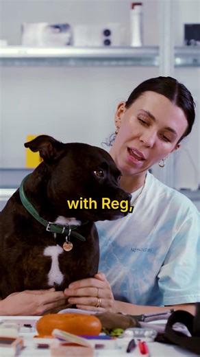 Reg has been employee of the month, every month, since he got here