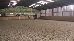 Olympian Charlotte Dujardin filmed whipping horse on its legs up to 24 times in training