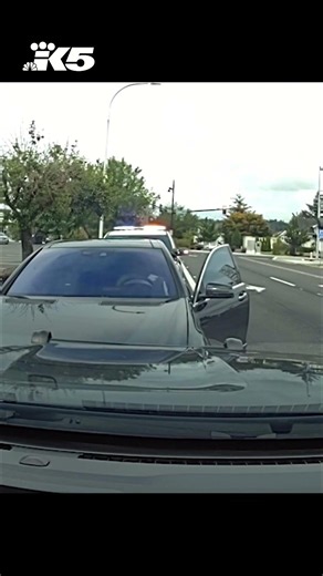 Cameras aid Auburn police in arrest
