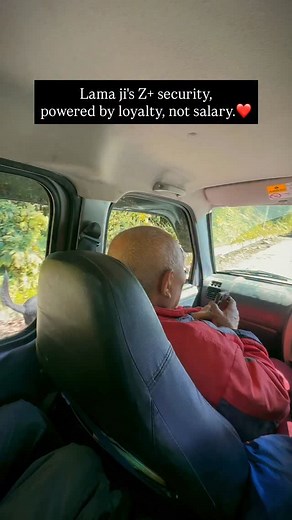 Lama Ji’s Z Security Squad 🐾❤️ They don’t need uniforms or paychecks just love. Every day, Lama ji feeds these stray souls with kindness, and in return, they walk beside him like a loyal army. This is not just Z security… it’s a bond beyond words. Because when you give love selflessly, you earn the purest form of protection loyalty 🐶❤️ Let’s spread this love and respect for every stray animal who only knows how to give back more than they receive. #LamaJi #ZPlusSecurity #ManaliStrays #StreetDo