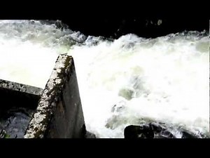 Ketchikan Fish Ladder