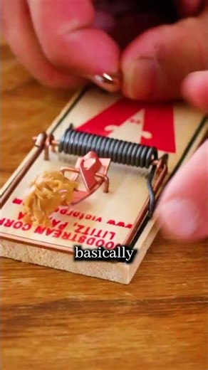 Easy Mousetrap Hack You Need to Know!