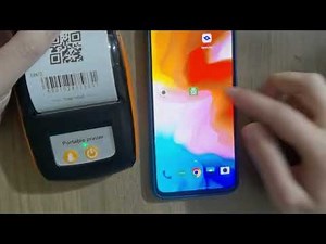 MP210 Unboxing, self-test and how to use Loyverse