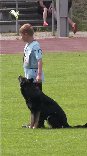 working-dog: Share your Passion!