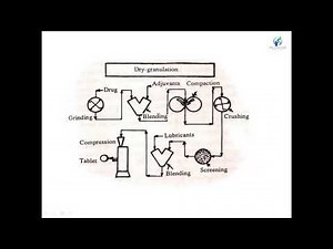 Lecture -7 Dry Granulation Technique By Payal N. Vaja