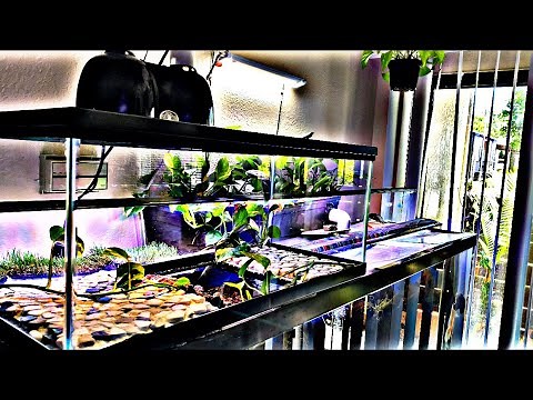 DIY BUILD -20G BASKING TANK ON MY 125 GALLON PREDATOR TANK!!!