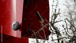 Wood Chipper Machine shredding pruning remains. Compost preparation from wood chips. Organic fertilizer for environmental protection and ecology gardening