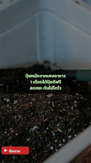 เคล็ดลับทำปุ๋ยหมักจากเศษอาหาร (วิธีง่ายๆ ทำที่บ้านได้) #shorts