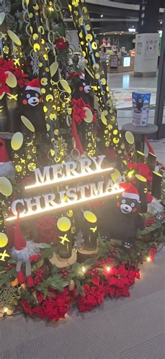 熊本空港のクリスマスツリー✨🎄✨