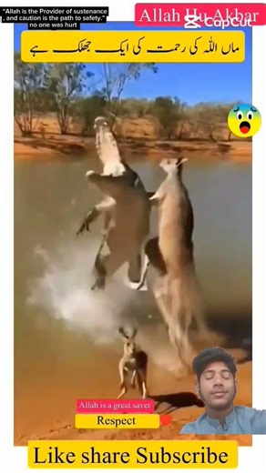 Allah is Great ☝️😇 Respect 😍Even the short creator save you by the merch of God 🥺👍 #shorts