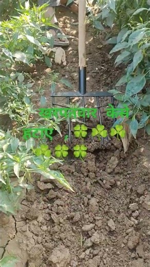 manual cultivator for garden