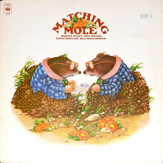 Matching Mole - Matching Mole