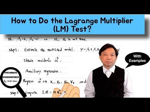 How to Do the Lagrange Multiplier (LM) Test? |【Five Minute Econometrics】Topic 52