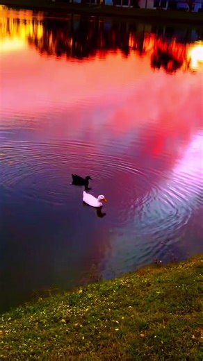 Astaghfirullah hal adzim#berimankepadaallah