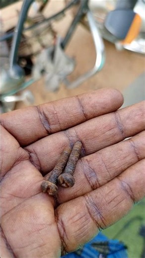 Rotten, Rusted, Accelerator Handle Screws, Hero Honda CD Dawn/Deluxe/100