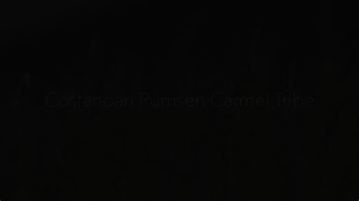 CRCT Video Compilation for Monterey Exhibition