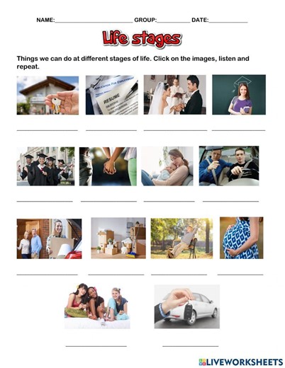 Life stages and activities worksheet
