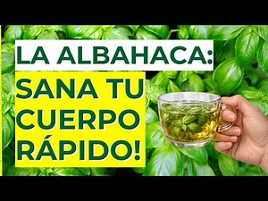 ¿Para Qué Sirve la ALBAHACA? 🌿 Propiedades, Beneficios y Usos Medicinales