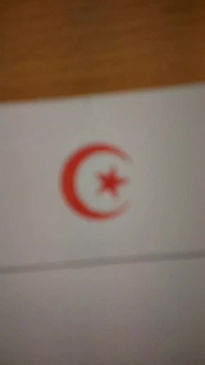 @massouh_officiel_19 antworten Algeria 🇩🇿❤ #fy #fyp #foryou #algeria #algérie #الجزائر #flags #drawing