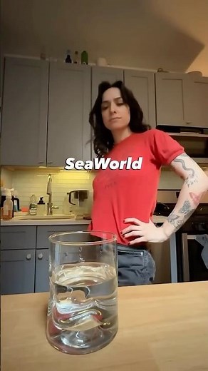 If an orca could fit in a glass of water, SeaWorld would put them in there.