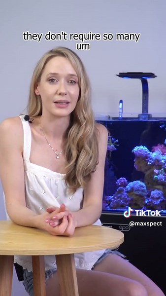 Loving LPS corals: Gemma shares her top reasons for keeping them! What's your opinion?#AFairShotWithBlock #Maxspect #saltwatertank #coralreeftank #reeftank #saltwateraquarium #coralreef #saltwaterhobbyist #foryou #fyp