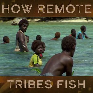 38M views · 464K reactions | Jeremy is at last able to see how this remote tribe catches fish. #RiverMonsters #JeremyWade #Fishing | River Monsters Global | Facebook