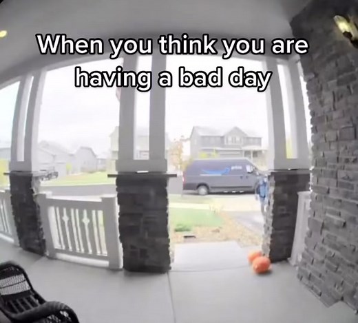 Hilarious Video of a Dude Falling Off a Ladder!