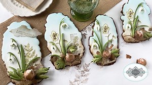 368K views · 6.2K reactions | #NEW VIDEO ALERT! Spring is beginning...