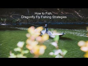 How to Fish: Dragonfly Fly Fishing Strategies | GoFishBC