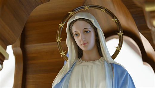 Miracle Seems Somewhat Unlikely After Blood Of Virgin Mary Statue Receives DNA Test
