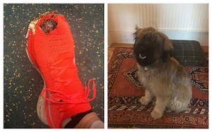 Runner completes marathon despite dog chewing his trainers to pieces