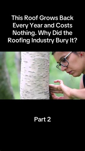 The Timeless Efficiency of Turf Roofs: A Sustainable Solution