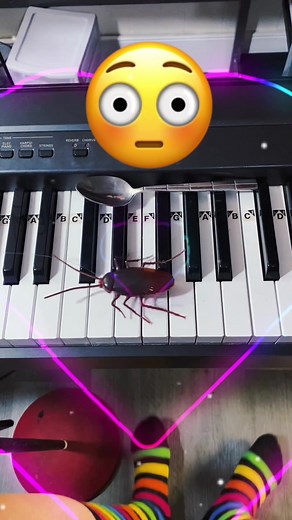 The Ruby Piano on TikTok