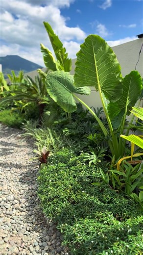 Tropical Garden Design with Mt. Arayat as a Backdrop