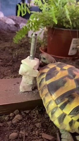 Bulk Fishing Success with Pro Water Techniques