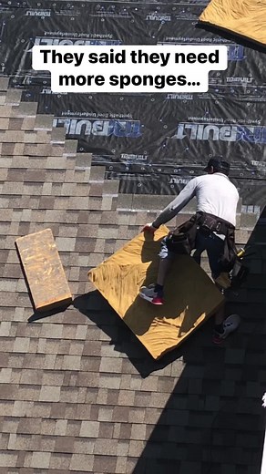 They needed more sponges… | Austin Blomquist