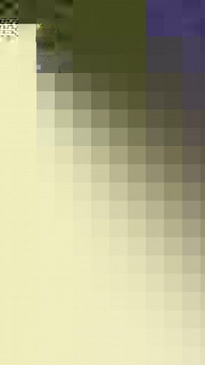 Join NYYC American Magic sailor Andrew Campbell to dive into the America’s Cup and learn about the partnership between American Magic and New England Science and Sailing (NESS). 🇺🇸⛵️Together, we are bringing the excitement of sailing into classrooms with innovative curriculum and hands-on materials, enhancing development, while increasing participation in sailing across the U.S. | American Magic