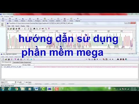 xây dựng cây phát sinh bằng MEGA