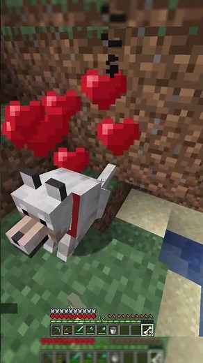 Advancement Guide - Best Friends Forever