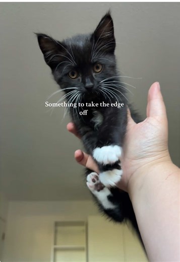 Yes I held her with two fingers - she then threw herself off the bed