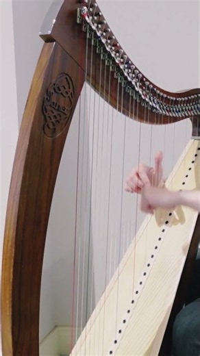 Had I Not Seen the Sun | Honkai: Star Rail Harp Cover 🎵🌅