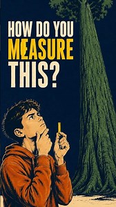 How to Measure a Tree Without Climbing It 🌳 | Trigonometry #Shorts#mathshorts#scienceshorts#math