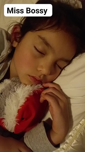 Normally Mr Grumpy the Ragdoll cat will stay beside Missy until she falls asleep then slowly move up to the pillow above but last night he ignored Missy. #ฝันดี #ฝันหวาน #หลับสนิท | Miss Bossy