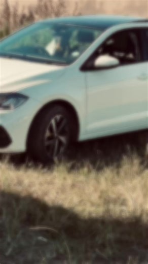 It a polo day ✌🏼