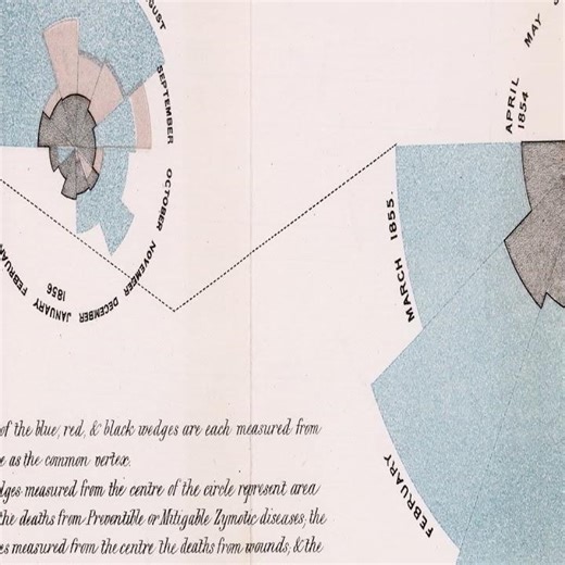 Florence Nightingale: Grandmother of Data Viz