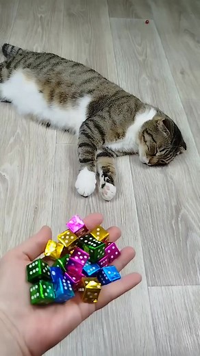 Satisfying ASMR 😃😃 . #entertainment #usa #asmrcommunity #trendingreelsvideo #usareels #asmrsounds #asmrvideo #viralreels #reelschallenge #trend #facebookreelsviral #asmr #fb #uk | Top 10