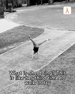 2.2K views · 320 reactions | "Great way to track activities. Even a small number of steps helps me keep active!" – WalkFit user ⭐️ | WalkFit Daily Walking Plan | Facebook