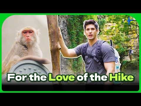 I Climbed Taiwan’s "Monkey Mountain" (and drank the world's most selfless tea) 🐒 | City Escape