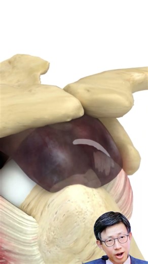 Subacromial Bursitis: What You Need to Know in 60s.